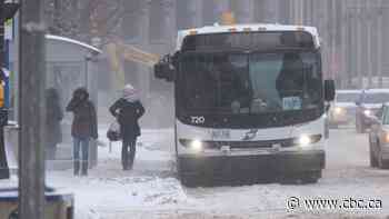 MPI receives hundreds of collision claims after 'catastrophic' Friday blizzard