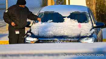 How much did it snow? Florida shatters previous record after rare winter storm