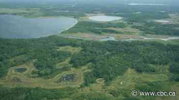 'Extreme opposition' dooms ecological corridor project along western Manitoba river