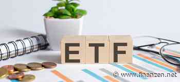 Small Cap-ETFs mit volatilem Auftakt 2025 - wie könnte es weitergehen?
