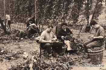 Een verhaal van vissen en vossen én hevige concurrentie: brouwerstraditie in Faluintjesstreek straks misschien ook in boekvorm