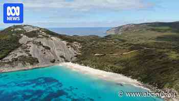 WA scraps desalination plan for 'vital' harbour ahead of state election