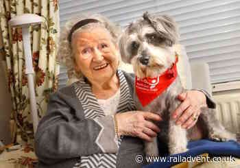 Dog charity gets valuable funding from LNER