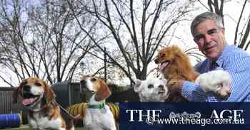 Lost Dogs’ Home must stay where it is, former chief urges