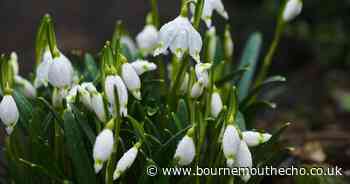 'Talented and friendly' woman, 20, found dead at home