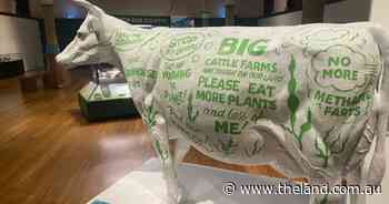 Fresh furore follows painted cow in national museum exhibition