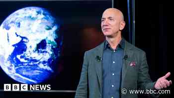 Amazon boss invests in uni's 'super moss' study