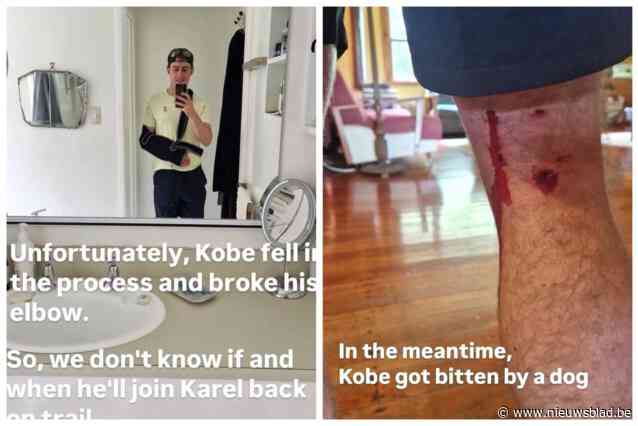 Crewlid ultraloper Karel Sabbe getuigt over aanval van wilde honden: “Op adrenaline verder maar snel duidelijk dat ik naar het ziekenhuis moest”