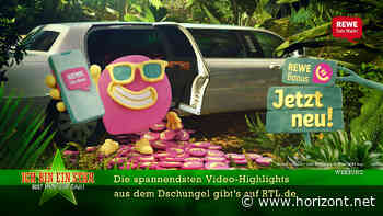 "Ich bin ein Star - Holt mich hier raus!": Diese Marken ziehen 2025 ins RTL-Dschungelcamp