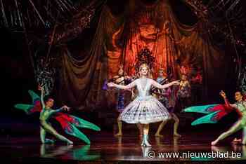 Serviceclub Kiwanis viert gouden jubileum met benefietshow van Cirque du Soleil