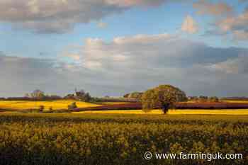 Arable land value averaged £11,100 per acre in 2024 despite issues