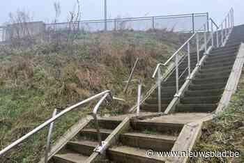 Trapleuning geviseerd door vandalen en een omgevallen boom