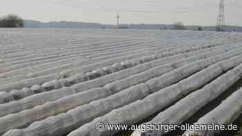 Der Spargelhof Lohner in Inchenhofen will wieder expandieren