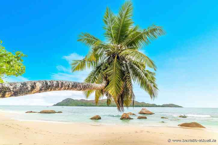 Schauinsland mit Infoabenden zu Zielgebieten