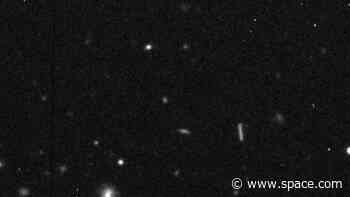 Strange 'quasi-moon' of Earth gets named Cardea, after goddess of door hinges