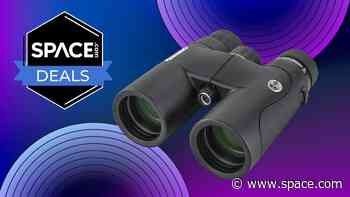 Save nearly $75 on these all-purpose Celestron Nature DX ED 8x42