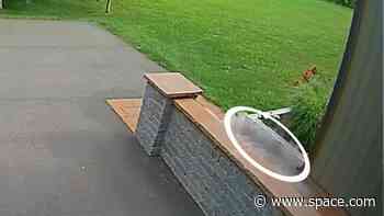 Watch (and hear!) a meteorite impact on doorbell camera video in a world 1st