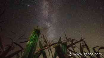 When you wish upon a star, is it already dead? An astronomer crunches the numbers