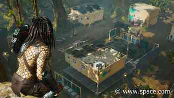 'Predator: Hunting Grounds' is the perfect template for another modern-day Predator movie