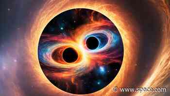 Gravitational waves offer a 'cosmic DNA test' for black holes