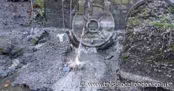 'Dangerously high levels' of bacteria in River Roding prompt call for action