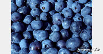 "Crisismanagement bessendrama schiet tekort"