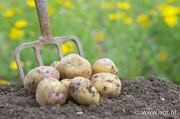 Aviko houdt contractprijzen in 2025 gelijk