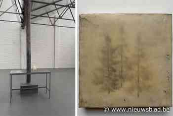 Kunst- en mensenruimte exposeert over de impact van de mens op de natuur