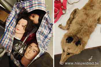 Een opgezette vos, een reddingsboei, losse hoofden en andere rariteiten in de uitverkoop: theatergezelschap houdt grote opruiming