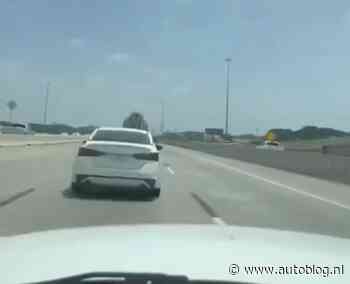 Video: boontje komt om z’n loontje