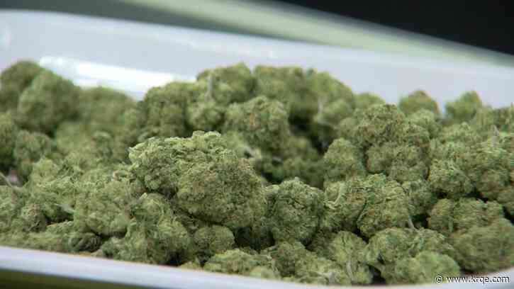 Proposed bill would give Cannabis Control Division more authority for regulation