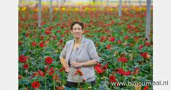 "Zonder doorzettingsmacht en kracht worden de doelen niet bereikt"