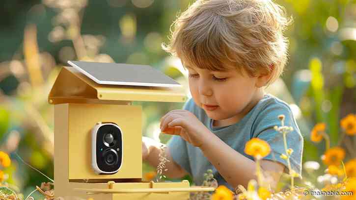 This $95 smart bird feeder turns your backyard into a nature channel
