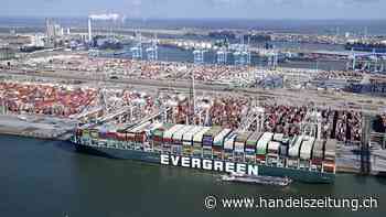 Deutlich weniger Drogenschmuggel nach Rotterdam