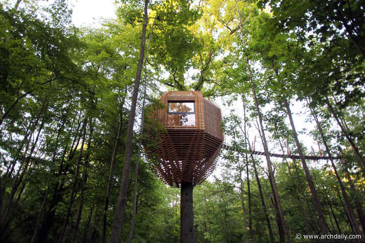 Building Among the Branches: A Showcase of Contemporary Treehouse Architecture