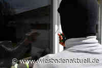 Erdgeschosswohnung aufgebrochen und Bargeld entwendet