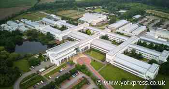 Agents appointed to promote York campus