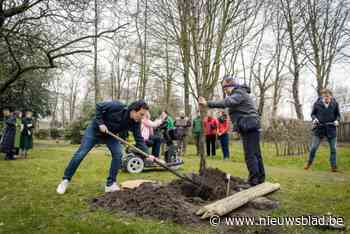 In vijf jaar tijd 87.000 nieuwe bomen aangeplant in Mechelen: “Alleen mogelijk door het grote enthousiasme van de Mechelaars”