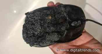 Gaming mouse goes up in flames, nearly causes apartment fire