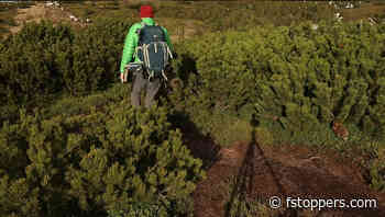 Why Slowing Down Can Transform Your Photography