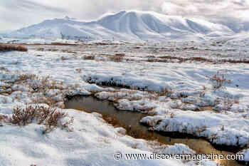 Permafrost Thaw and Wildfires Are Raising CO2 Emissions in Arctic Tundras