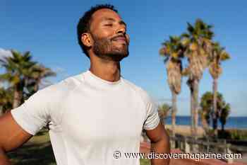 Chronic Stress Doesn’t Need To Be the New Normal — A Stress Reset Can Help