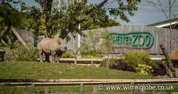 Chester Zoo announces closure as Storm Éowyn to  bring severe weather
