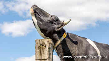Zuivelmarkt schudt zich los na stress om dierziekte