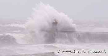 Storm Eowyn LIVE: North East updates and travel advice as 'severe' weather set to hit the region
