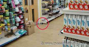 Rat 'falls from the ceiling' into Romford 99p store