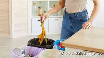 Revealed: The most BINNED foods in Britain - so, are you guilty of chucking out these items?