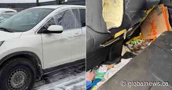 Ontario dad misses birth of child after SUV, cellphone stolen