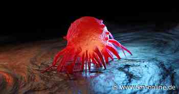 Krebsbehandlung mit mRNA: Chancen und Hürden bei der Zulassung neuer Therapien