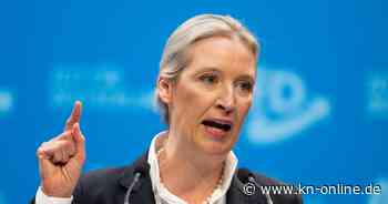 Merz vs. Weidel: AfD-Chefin reagiert auf TV-Duell-Angebot des CDU-Chefs